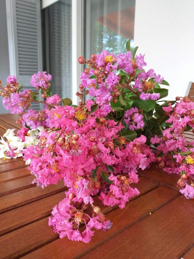 Apartment Nevia Fažana Dış mekan fotoğraf